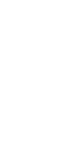互生（ごせい）